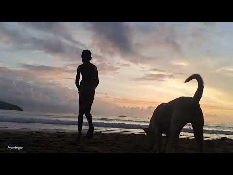 Sea, Sand and Sky 101 (Balai Emma Resort) #Palawan #islandlife #Beach #foods