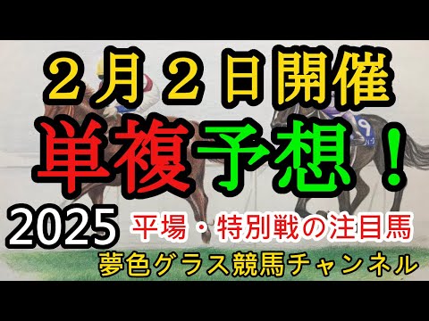 【単複平場予想】2025年2月2日JRA平場戦！妙味ある馬を狙っていくコーナー！平場・特別戦を楽しむ12頭！