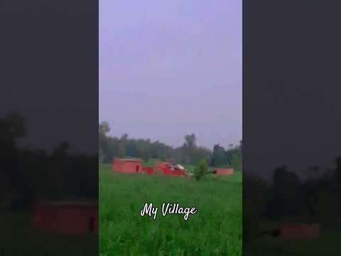 Nature love ❤ beautiful status | barish beautiful 😍 status ❤ |