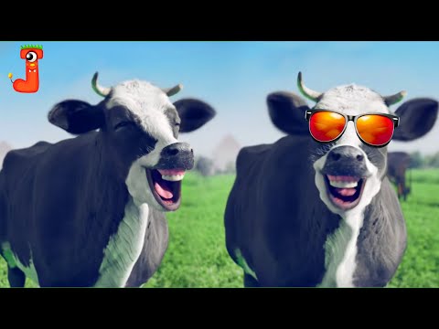 FUNNY COW DANCE AND LAUGHING 17│  Cow Song & Cow Videos 2024 | Cow dance mix | funny dancing cow