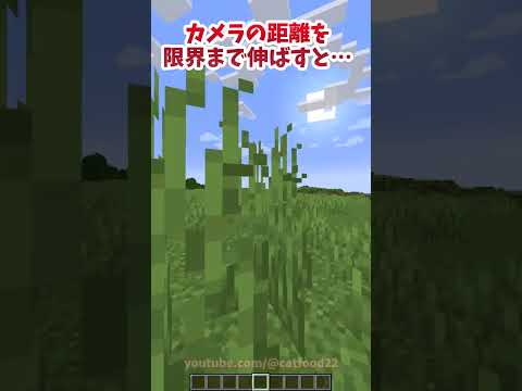 【マイクラ】カメラの距離を限界まで伸ばすと…？