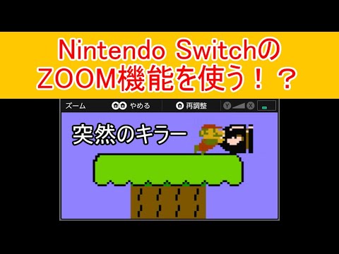 一寸先は闇マリオ#10 Nintendo SwitchのZOOM機能を使う！？ ZOOM MARIO