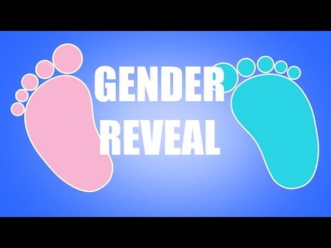 Gender Reveal (Animation Meme)