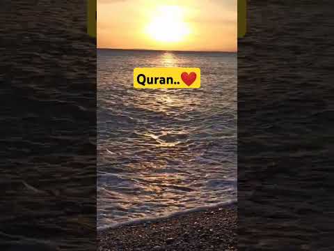 Quran Urdu translation || #recitaion #urdu #quran #motivational #shorts