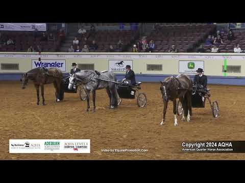 Senior Pleasure Driving - 2024 AQHA World Championship Show