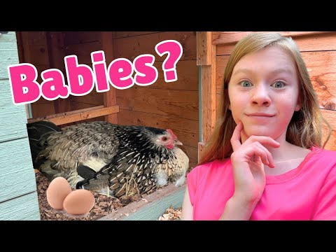 Are these eggs REALLY FERTILE?