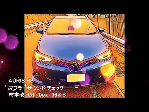 【カスタム】AURIS RS マフラーサウンドチェック　柿本改　GT　box　06＆S