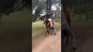 ✨✨✨#cowgirls #wrangler #horseranch #coltstarting #western