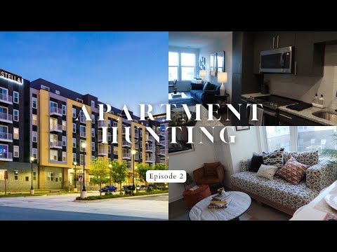 DMV Luxury Apartment Hunting *Prices Included*