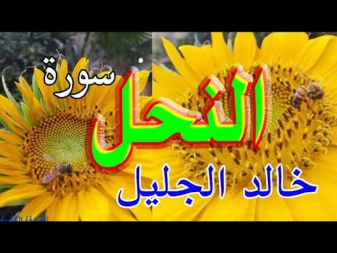 اجمل تلاوه للقران الكريم 🌹سوره النحل بصوت🌟 القاريء الشيخ خالد جليل ☪️