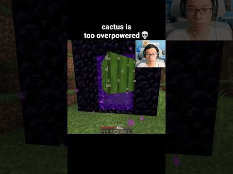 Minecraft Cactus Moment