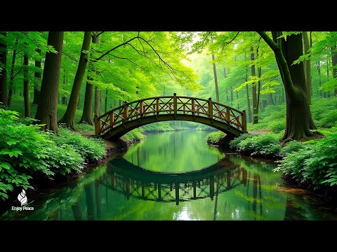 Relaxing music that heals stress