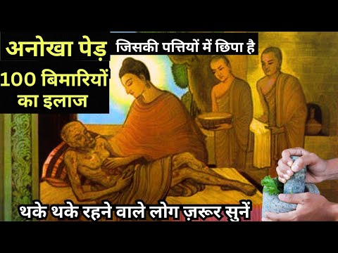 आयुर्वेद की अद्भुत शक्ति भोजन से पहले एक चम्मच खाएं | Health Tips | Buddha Inspired