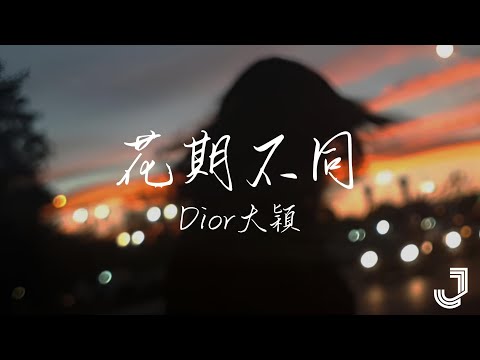 Dior大穎 - 花期不同 |「生命像一座座山丘 都需要经历起起落落」|【动态歌词 Lyrics】