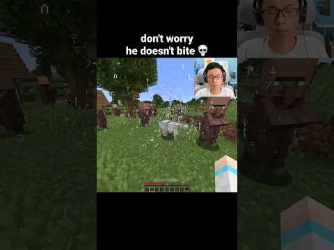 Minecraft Super Dog Moment