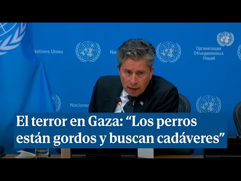 Relata la dura realidad en Gaza: "Los perros están gordos y buscan cadáveres"