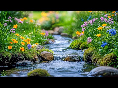 Soothing Music Relaxes the Soul and Heart 🌿 Stress Relief Music, Healing Music #2