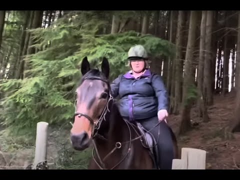 Are you too heavy for your horse?