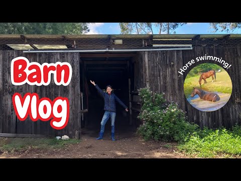 Spend an afternoon with ME AND THE HORSES! | Barn vlog