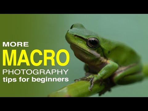 MORE MACRO Photography Tips for Beginners - outdoor macro photography using extension tubes.