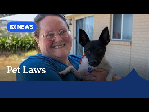 Challenges continue for renters with pets despite law changes | ABC NEWS