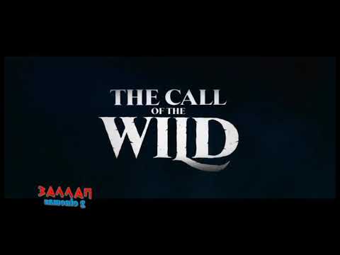 The Way Back / Call of the Wild / Sonic