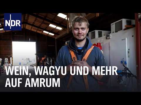 Ein Jahr mit dem Amrumer Inselbauern Oke Martinen | Die Nordreportage | NDR Doku