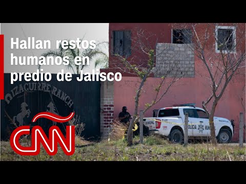 Violencia en México: anuncian una investigación por posible campo de exterminio en Jalisco