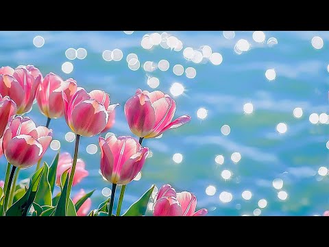 Music therapy 🌺Beautiful relaxing music - Healing music for the heart and blood vessels, relaxing