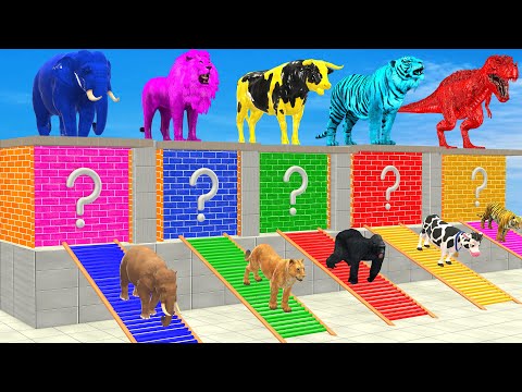 Daddy! Don't Choose the Wrong Mommy! with Elephant Cow Lion Tiger Gorilla ESCAPE ROOM CHALLENGE