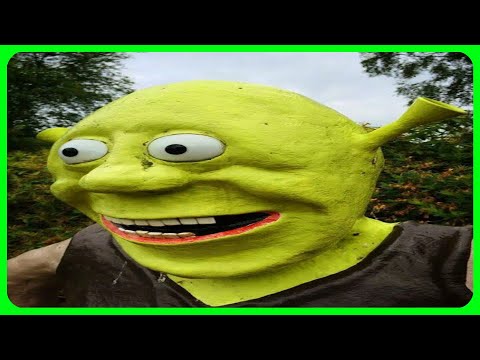 Shrek explained by an idiot