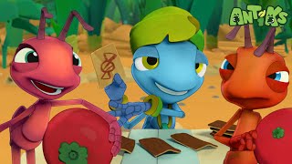 The Fortune Teller Mystery! | Antiks 🐜 | Funny Cartoons for Kids