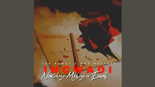 Tee Ramzy & Soa Mattrix - Incwadi (Official Audio) feat. Nontokozo Mkhize & Eemoh