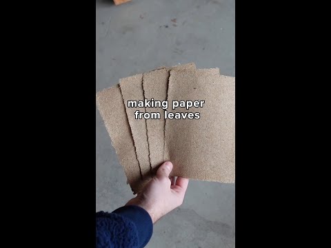 from fallen leaves to useable paper #leaves #ASMR #repurpose