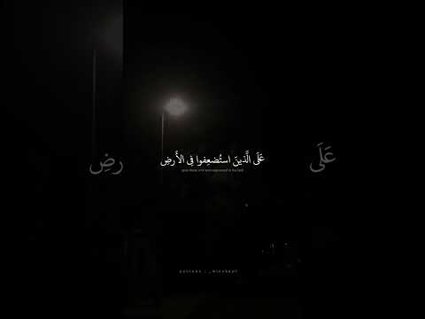 تلاوة روحانية تخشع لها القلوب بصوت الشيخ محمد صديق المنشاوي ♡ #المنشاوي   #short