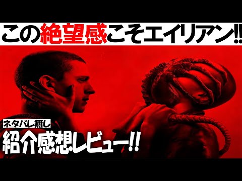 正統派続編!!映画『エイリアン：ロムルス』御託はいらねえ！！この絶望感こそがエイリアンだ！！