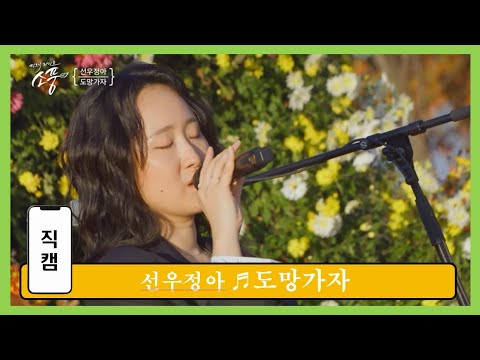 [직캠] ＂도망가자＂(선우정아) | 피크닉라이브 소풍| EP.134 | in 연천 국화축제&율무축제