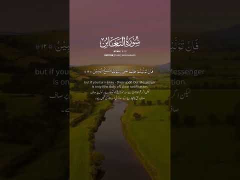 Surah At-Taghabun #holyquranforall #quran #islamicvideo #ytshorts #islamicvideo #surahtaghabun