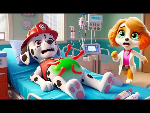 Paw Patrol Ultimate Rescue | MARSHALL Is Sick ! SKYE Please Save Me ! | Happy Life Story | Rainbow 3