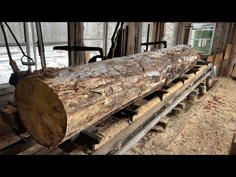 Spalted Poplar