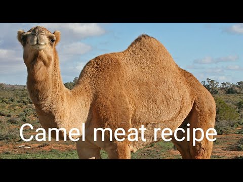 #camelmeat #camel#camels #camelmeatrecipe #camelmeatballs #camelkheema #camelkakheema #camelgosh