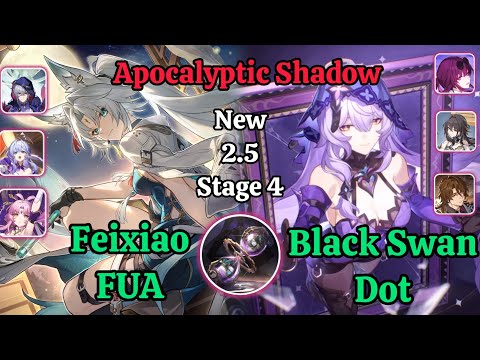 E0S0 FeiXiao FUA & E0S0 Black Swan Dot Apocalyptic Shadow stage 4 Clear / HSR