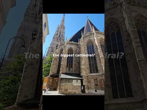 SONG NAME: Montagem Butterfly Effect (Over Slowed Reverb) #shorts #cathedral