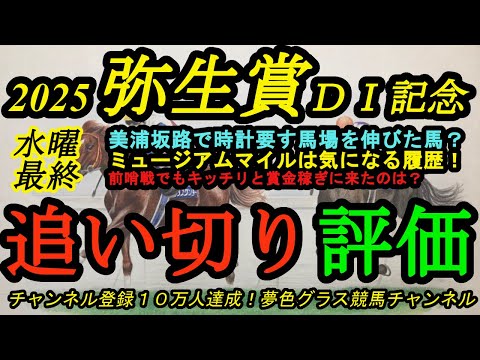 【最終追い切り評価】2025弥生賞ディープインパクト記念！ミュージアムマイルの気になる調教履歴は？重い美浦坂路で好時計の有力馬！前哨戦でもキッチリと仕上げてきているのは？