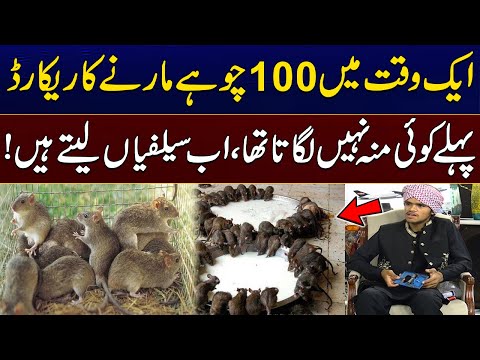 Ak Waqat Men 100 Chohay Pakkarny Ka Record hai | Ab Log Selfiyan Laty Hain | City41