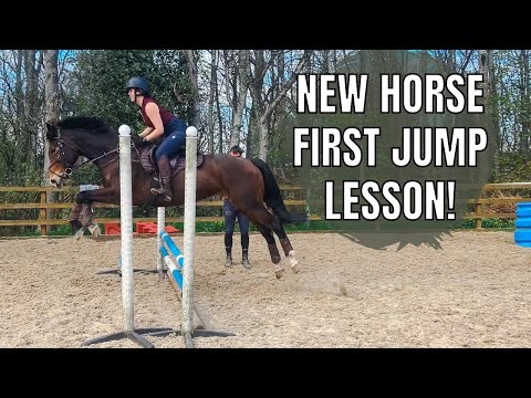 SHOWJUMPING BASICS| Wincey Full Lesson VLOG