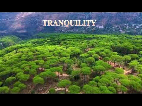 Tranquility Meditation