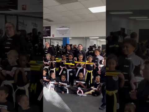 Little ninja kung fu testing