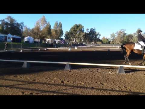 Lorie's Intermediate Dressage Test - 11/2016