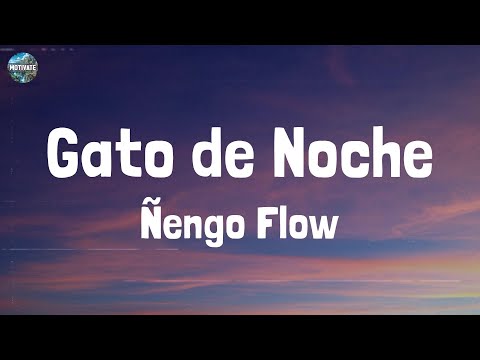 Ñengo Flow - Gato de Noche (Lyrics)